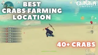 Best Crab Location to Farm Crab, 40+ Crabs Inside Genshin Impact