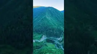 Шаури сити.