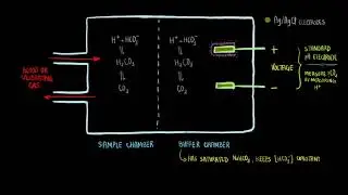 Severinghaus pCO2 Electrode | Bioinstrumentation Design