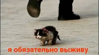 не  пью