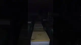 пчелы зимуют