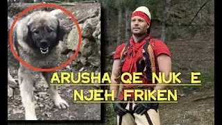 Arusha që nuk e njeh frikën dhe s'i bën syri tërr