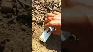Nokia 1100 restoration #shorts