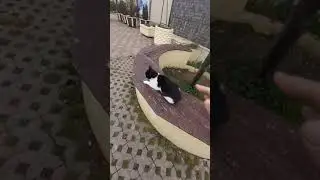 Режим самоизоляции.  Сочи. Пляж 
