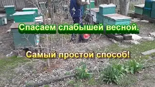 Усиливаем слабые семьи.