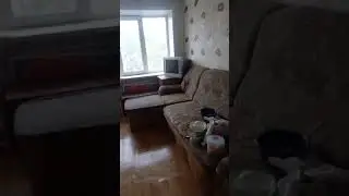 10 августа 2024 г.