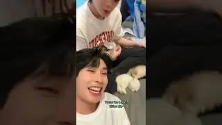 Yim's Giant Kitten #tutoryim #tutorkrp #mynameis_yim