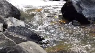 Peaceful Ambiance Sounds Of Calming Water Flowing Over Rocks In A Stream In Nature