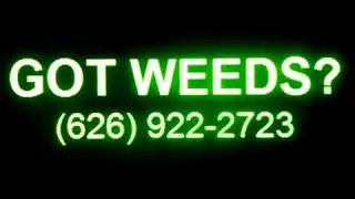 GOT WEEDS - Barstow, CA, Weed Removal, Weeds Removed, Weed Control, Weed Abatement, Brush Removal, L