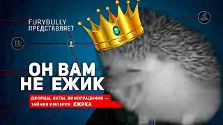 разоблачение ежика