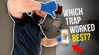 TOMCAT rat trap vs VICTOR rat trap...catching a MASSIVE rat!