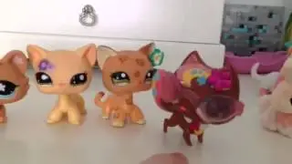 LPS: Choose My Icon!!!