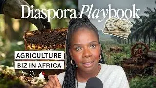 5 Harsh Lessons from Starting Agriculture  business in Africa
