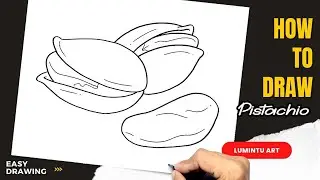 How to draw Pistachio - Easy Pistachio Drawing