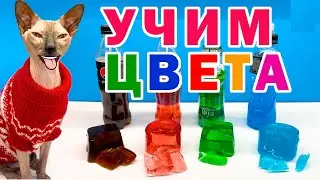 Учим цвета играя с волшебным желе и говорящим котом Марсиком.