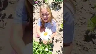 #дети2024 #деньсемьи #деньсемьилюбвииверности #поздравляю #нижнийновгород #лето2024 #семья #дети #мы