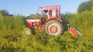 Mtz50 mulcsozó és kardán teszt, ki sem látszik a gazból.