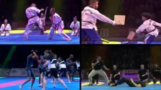 32e Festival des Arts Martiaux - AccorHotels Arena