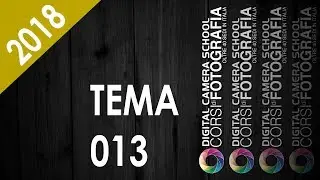 Tema 013 2018
