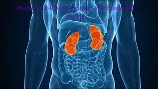 Healthy Kidneys Subli-minal