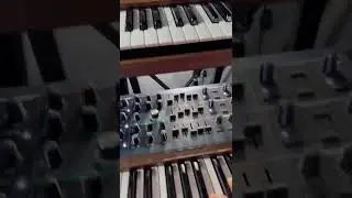 Can the PolyBrute sound like the Prophet 5? 🤔👀🎹 #polybrute #prophet5