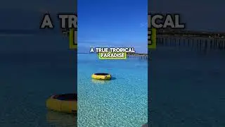 Maldives Journey: A Unique Adventure Below the Equator#travel #maldives #shorts #europe #explore
