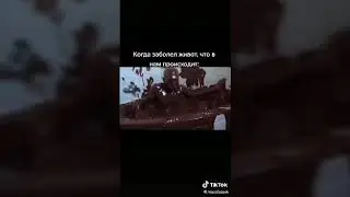 Тик ток сломал мой мозг