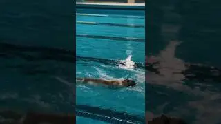 Как правильно плавать на спине?