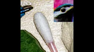 микроскоп из лупы