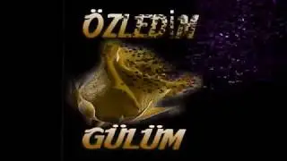 bahcende gülün olsam bir gülüşün ömre bedel