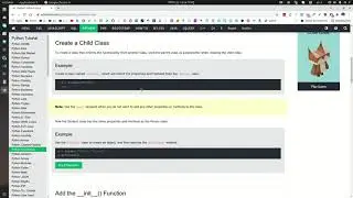 Python Inheritance Tutorial | Master Object-Oriented Inheritance in Python