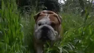 Rudy in the long stuff