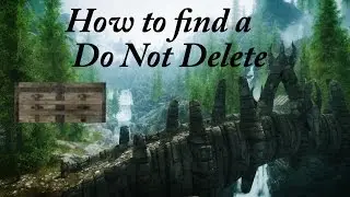 Skyrim - How to get a Do Not Delete