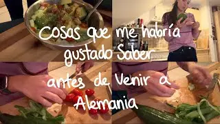 🇩🇪 Cosas que me habría gustado saber antes de venir a Alemania 