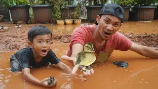Ali's Child's Drama Catches a Duck That Escapes 🐤 | Ali vlog