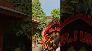 barongan | menyala abangku... #barongan #acaranikahan #comedyfilms