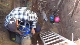 Подлесное: второй порыв у стардома
