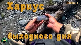 Хариус выходного дня. Часть 1