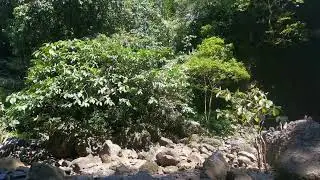 Siniloan Laguna