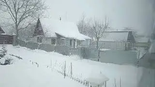 20 января 2024