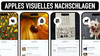 Apples Visuelles Nachschlagen - Wie gut funktioniert die Erkennung wirklich?