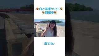 💐白と花束ツアー 開催中💐