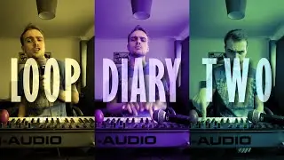 Loop Diary #2