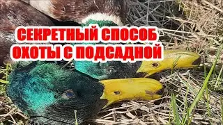 Охота с подсадной Секретный способ.
