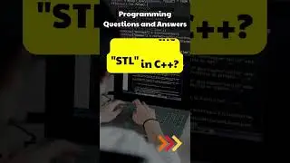 What is the 