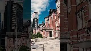 Токио никогда не разочаровывает 🇯🇵⛩️🍣 #токио  #япония