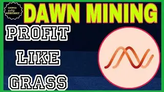 DAWN VALIDATION MINING LIKE GRASS AIRDROP @cryptotamilassistance  #dawn #tomarket #binance #crypto