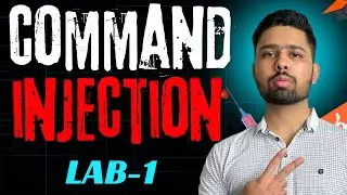 PortSwigger OS Command Injection Lab-1 | Simple case