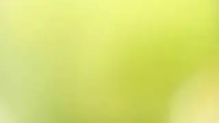 0xFFFFFFFE