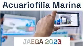 IV Jornadas 2023 Acuarófilas: ESTRATEGIAS DE MONTAJE Y MANTENIMIENTO DE ACUARIOS MARINOS